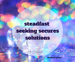 Steadfast Seeking (2)
